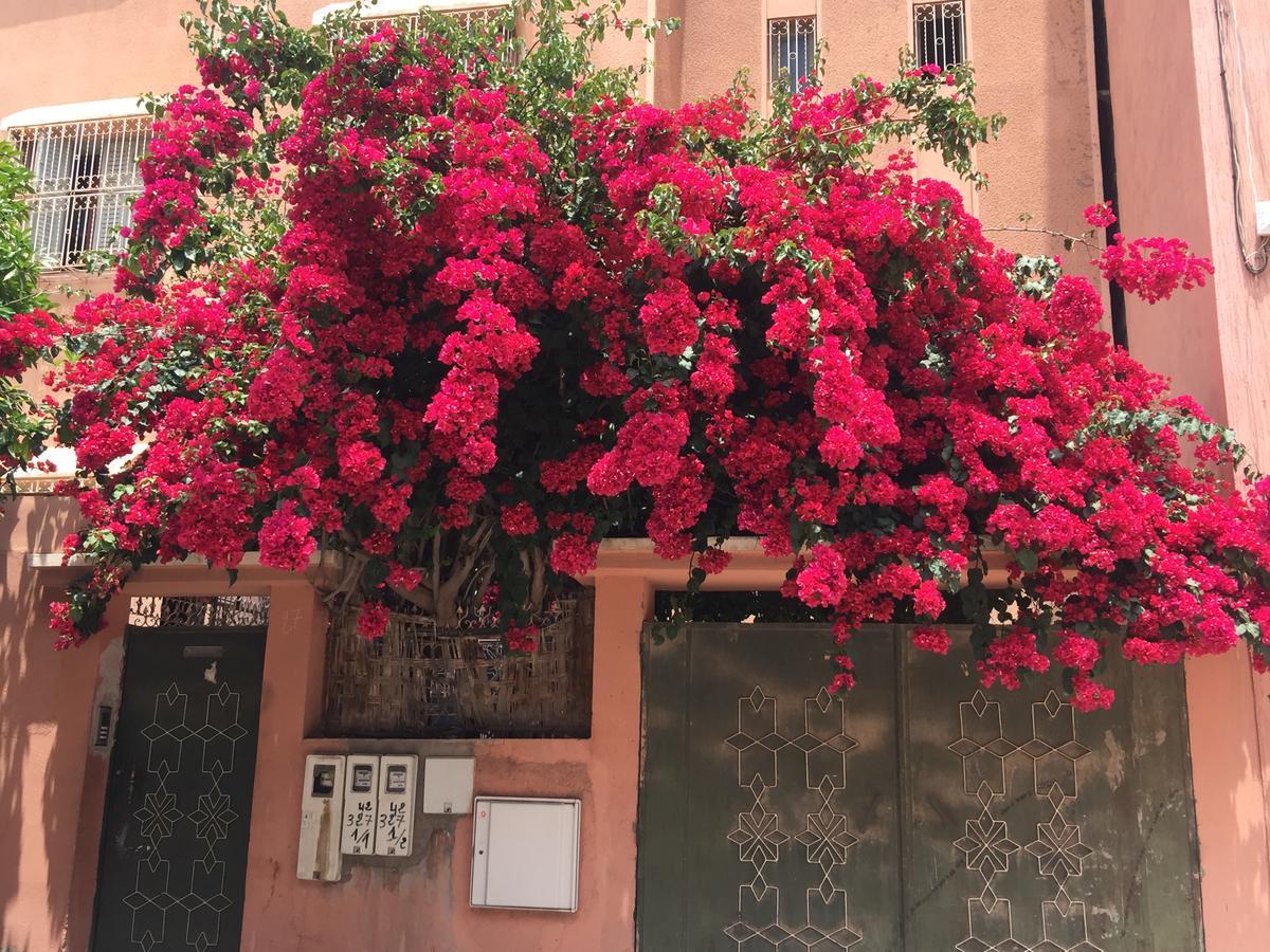 Riad Nejma Lounge Marrakesh Exterior foto
